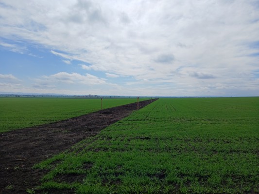 duben 2025 - stav před realizací