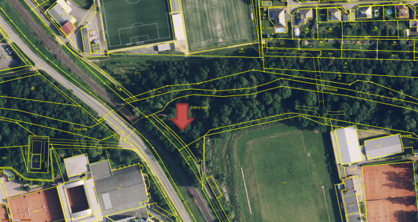 Komunitní sázení v lesoparku Hloučela