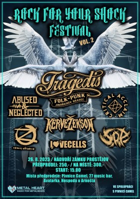 ROCK FOR YOUR SHOCK FESTIVAL