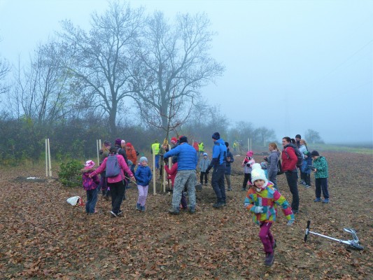 Komunitní sázení 13.11.2021