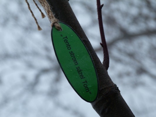 Komunitní sázení 13.11.2021 - označení stromků