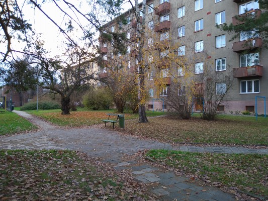 Projekt "Sousedský dvůr"