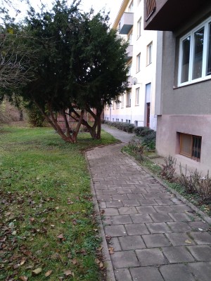 Projekt "Sousedský dvůr"