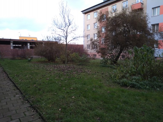 Projekt "Sousedský dvůr"