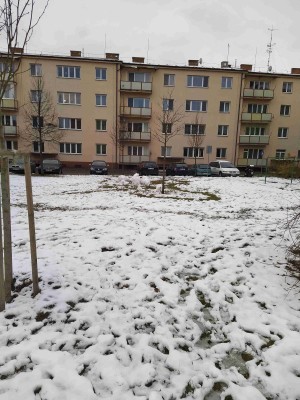 Vybudování travnatého oploceného hřiště uvnitř vnitro bloku Waitova, Manharda, Bulharská a Dr, Horáka