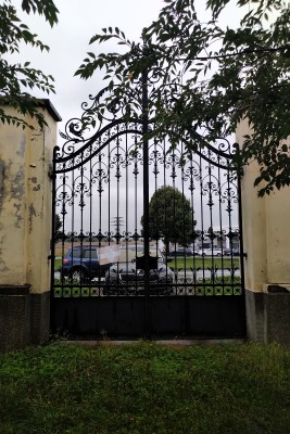 Nový židovský hřbitov v Prostějově (pokračující revitalizace hřbitova)