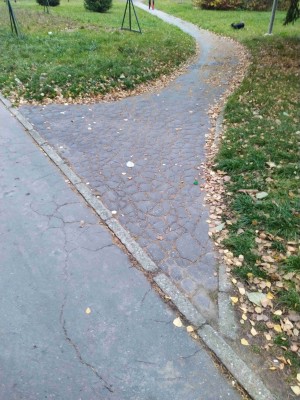 Oprava chodníku a vozovky ve vnitro bloku Waitova, Manharda, Bulharská a Dr. Horáka