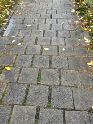 Oprava chodníků vnitrobloku Olomoucká 36 - 48