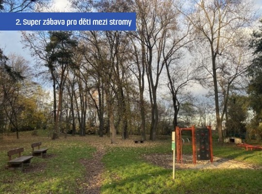 Hlasování dnes začalo!