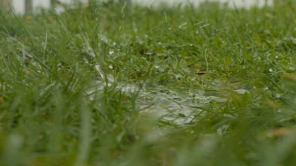 Zasakování vody do trávníku