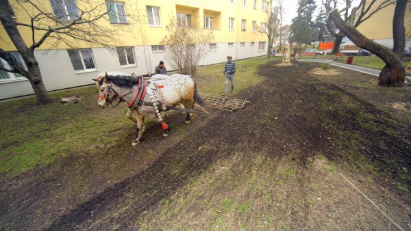 Zvyšování možnosti deště zasáknout se do trávníků
