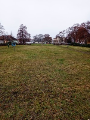 stávající stav zeleně na Husově náměstí