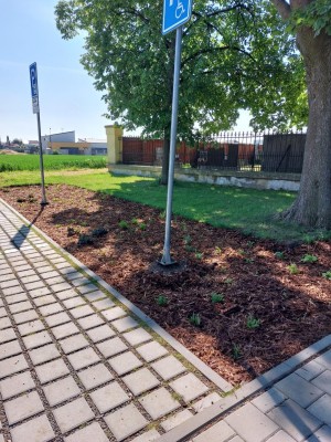 Vegetační úpravy před hřbitovem - květen 2025