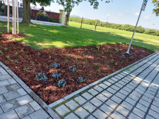 Vegetační úpravy před hřbitovem - květen 2025