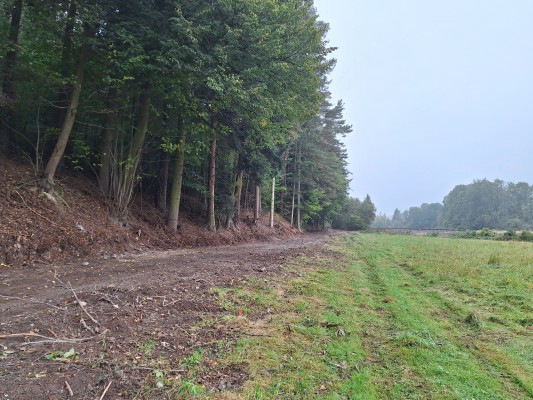 první dekáda října 2024