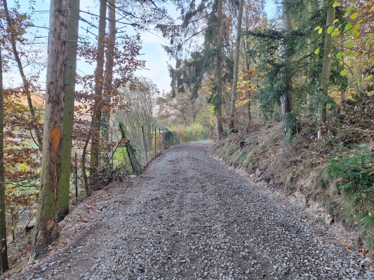 první dekáda listopadu 2024