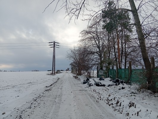 třetí dekáda listopadu 2025