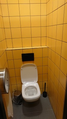 Dámská toaleta