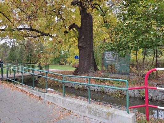 Mlýnský náhon u parku