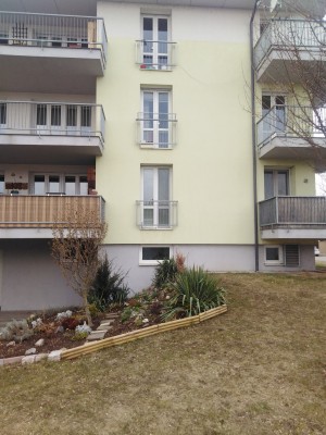 Polišenského 3 - výměna oken a parapetů