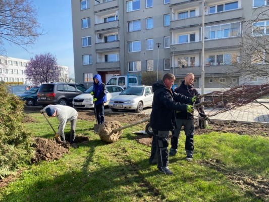 Sázení zeleně - duben 2023