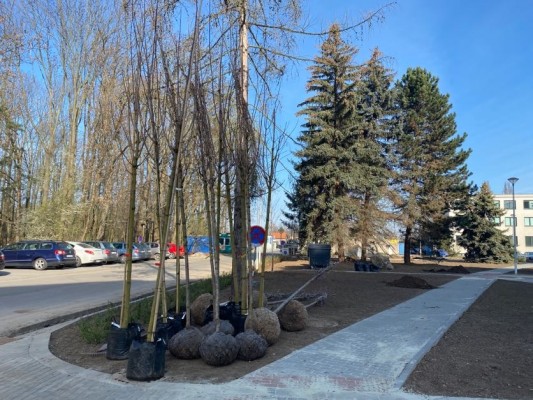 Sázení zeleně - duben 2023