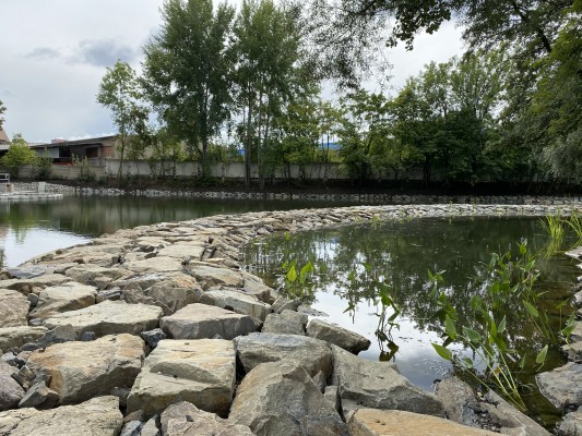 Dokončená revitalizace - detail na pobřežní rostliny