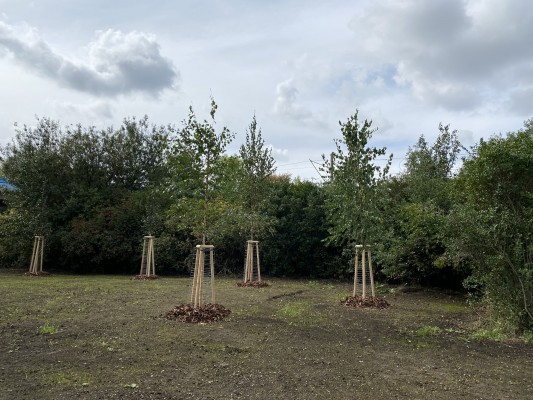 Dokončená revitalizace - okolí rybníčku