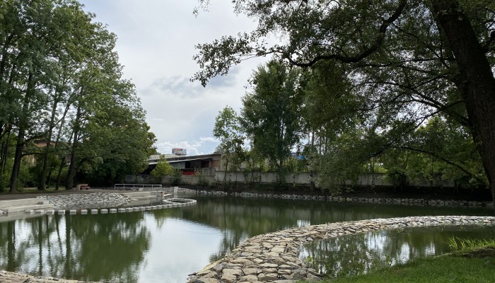Revitalizace Pivovarského rybníčku ve Vrahovicích