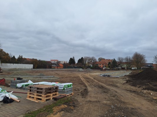 druhá dekáda listopadu 2024