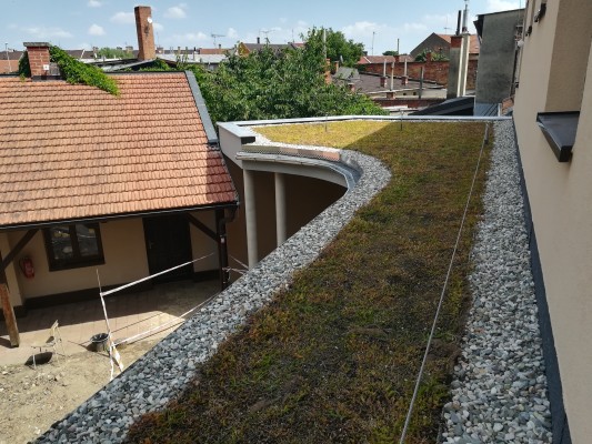 Červenec 2021 - zelená střecha