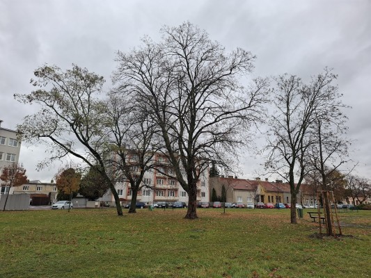 Revitalizace Husova náměstí