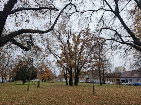 Revitalizace Husova náměstí