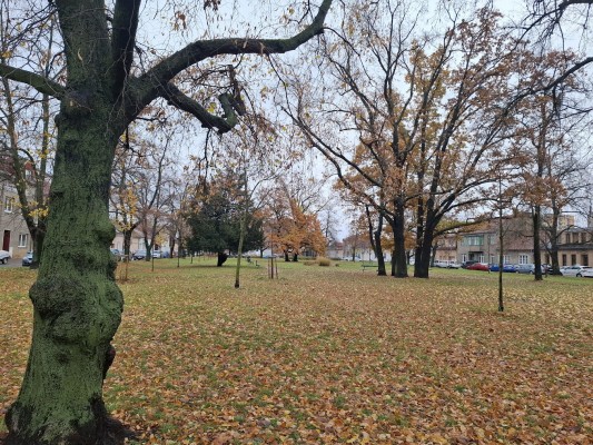 Revitalizace Husova náměstí