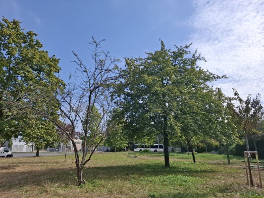 Stávající stav - parková část