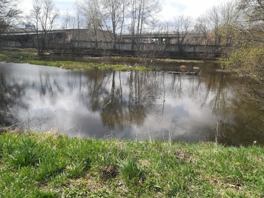 Revitalizace pivovarského rybníčku ve Vrahovicích