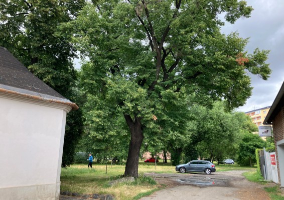 prostor za kaplí sv. Anny