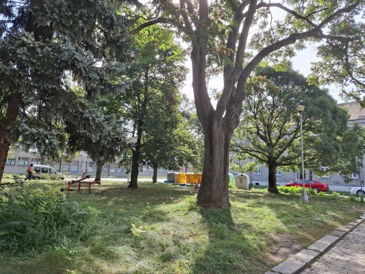 Revitalizace parku v ulici Švabinského