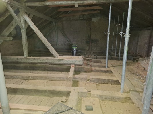 druhá dekáda listopadu 2024