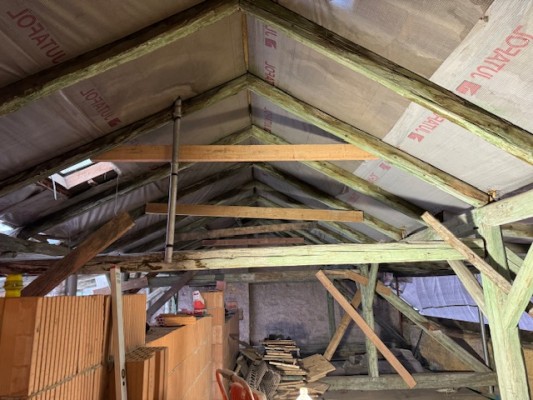 druhá dekáda prosince 2024