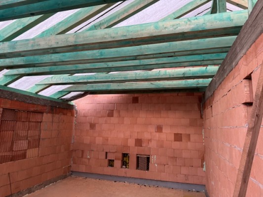 třetí dekáda ledna 2025