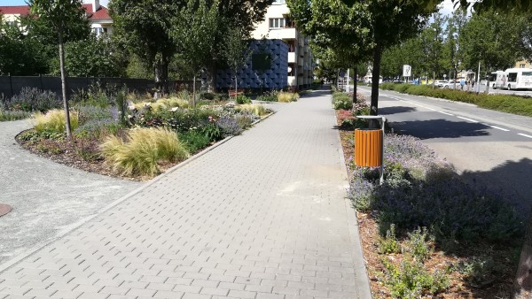 Umístění nových košů - srpen 2022