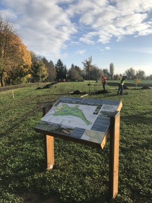 Foto z komunitního sázení 4.11.2023