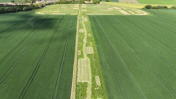 I. etapa - květen 2025