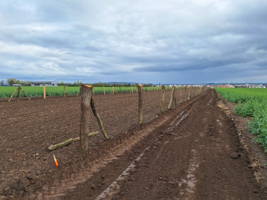 I. etapa - první dekáda dubna 2024