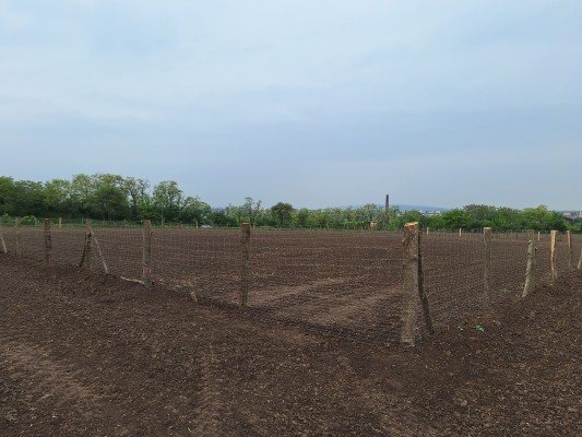 I. etapa - první dekáda května 2024