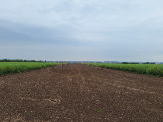 I. etapa - první dekáda května 2024