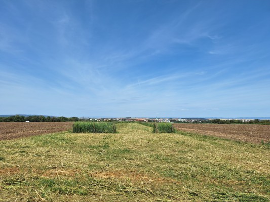 I etapa - třetí dekáda července 2024