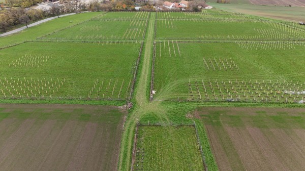 I. etapa - třetí dekáda října 2024