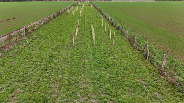 I. etapa - třetí dekáda října 2024